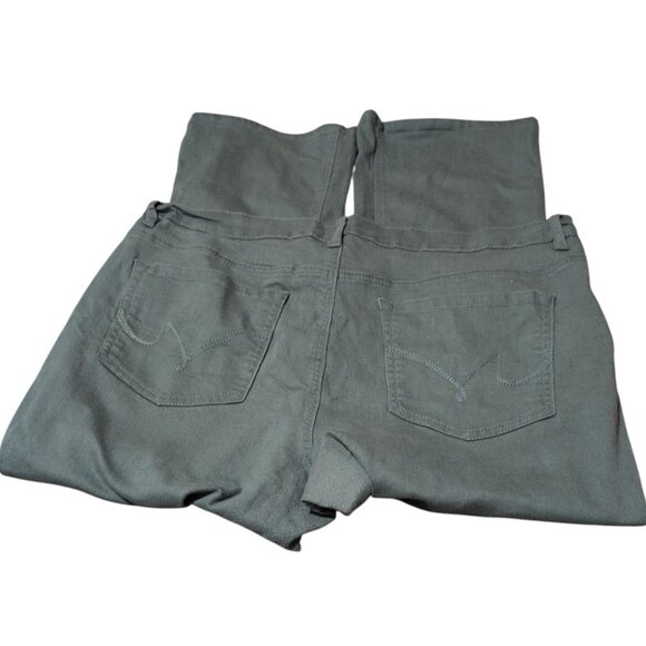 DG2 Diane Gilman Jeans Dark Green 5 Pocket Design Denim Button/zip Flared Pants - Picture 1 of 8